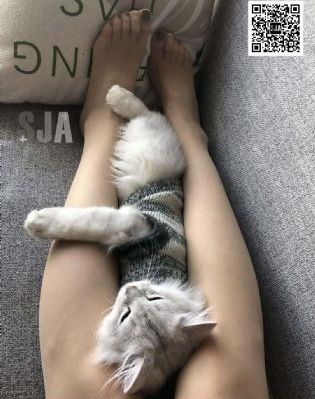 蜜耻母电影