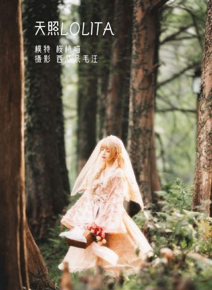 欲望之影
