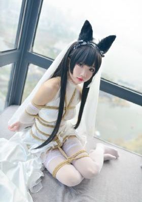 镜·双城 电视剧