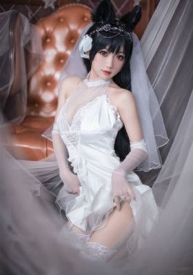 杨志刚电视剧大全免费观看